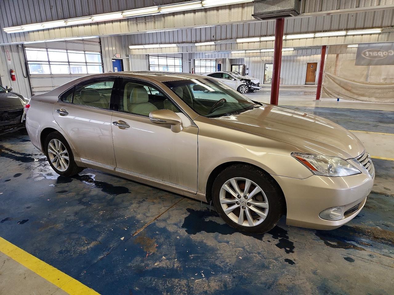 2010 LEXUS ES 350