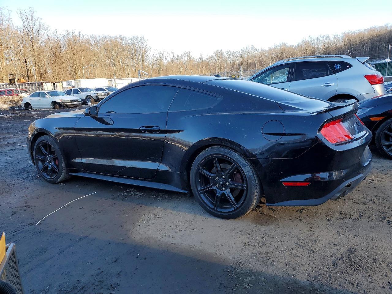 2019 FORD MUSTANG