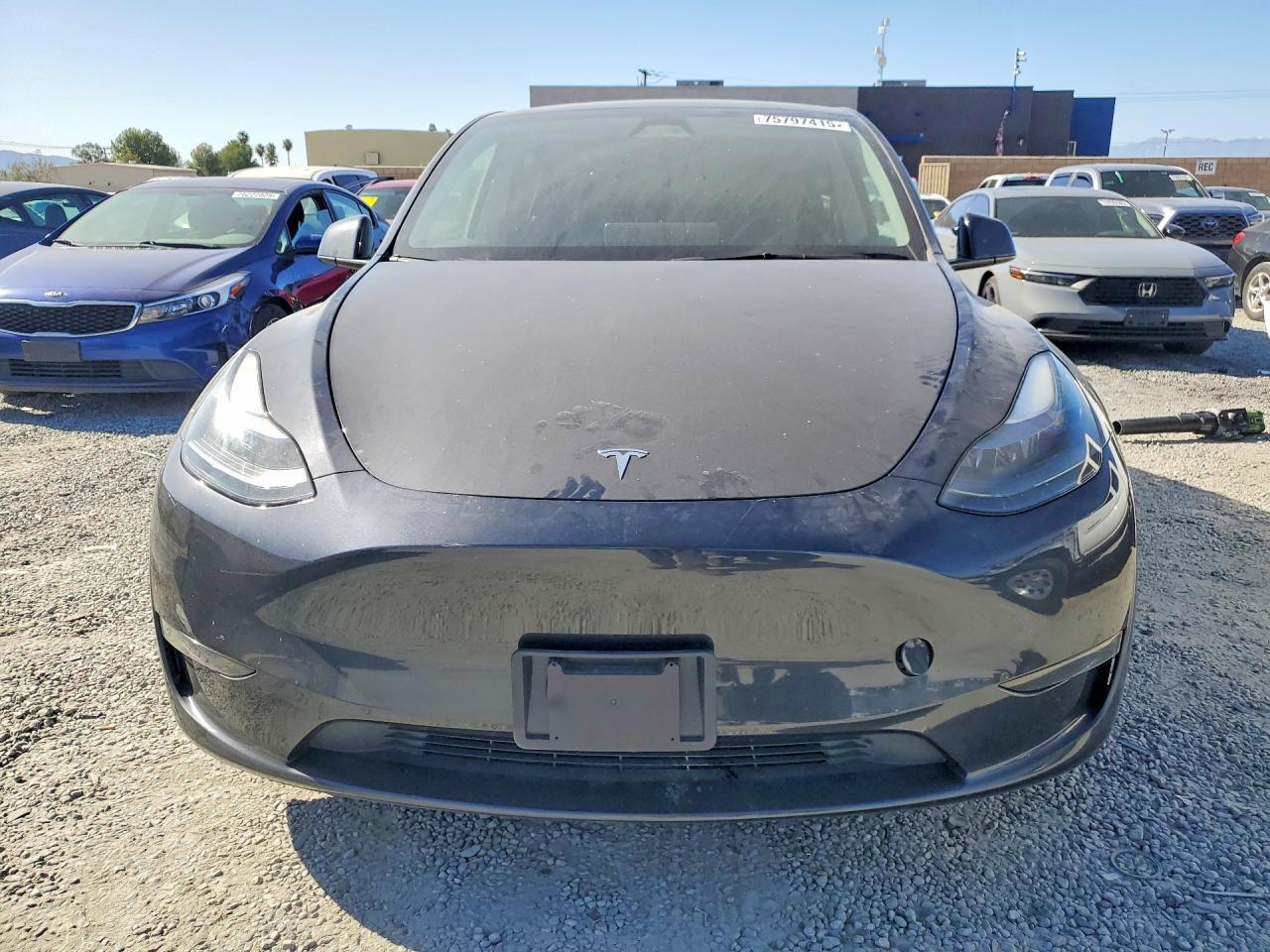 2024 TESLA MODEL Y