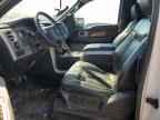 2009 FORD F-150