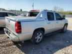 2013 CHEVROLET Avalanche