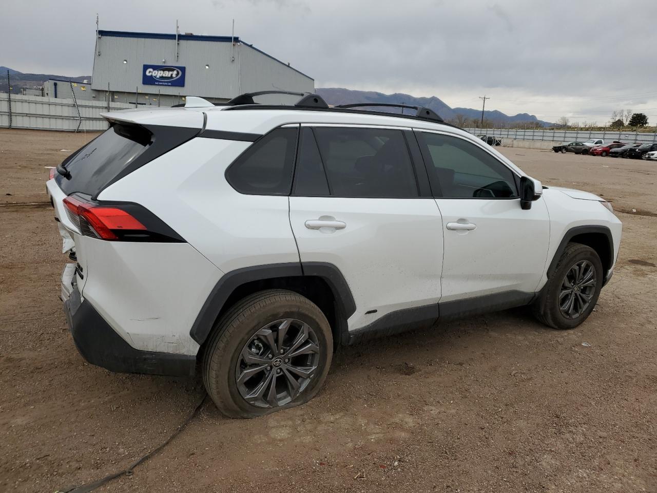 2024 TOYOTA RAV4