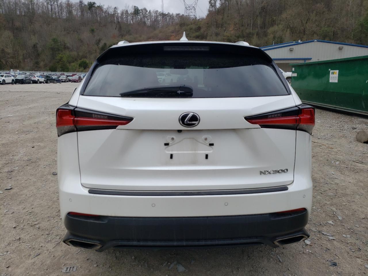 2019 LEXUS Nx