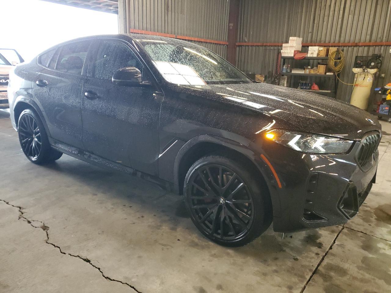 2025 BMW X6
