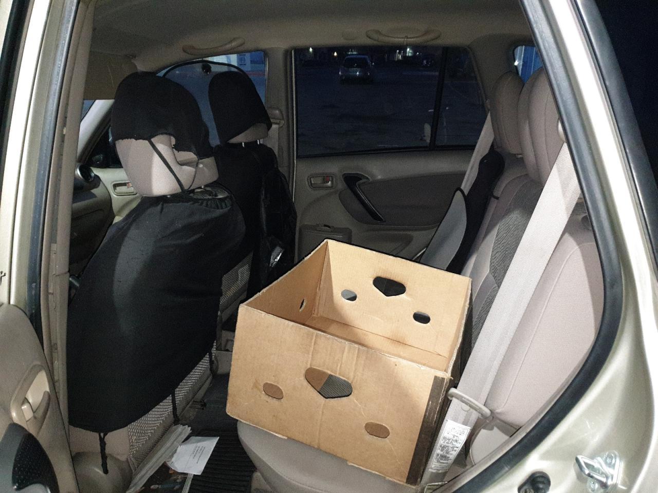 2003 TOYOTA RAV4