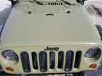 2013 JEEP WRANGLER