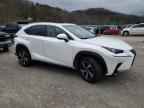 2019 LEXUS Nx