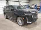 2024 CADILLAC ESCALADE