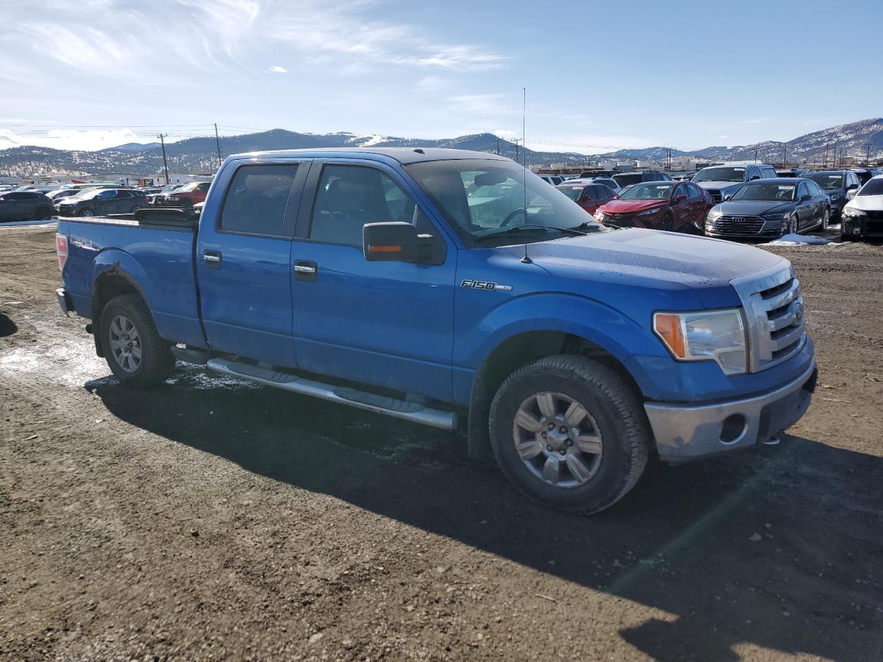 2009 FORD F-150