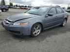 2004 ACURA TL