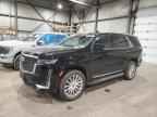 2024 CADILLAC ESCALADE