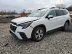 2023 SUBARU Ascent