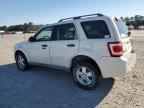 2009 FORD ESCAPE