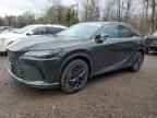 2024 LEXUS RX 350