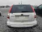 2010 HONDA CR-V