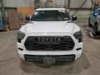 2024 TOYOTA Sequoia