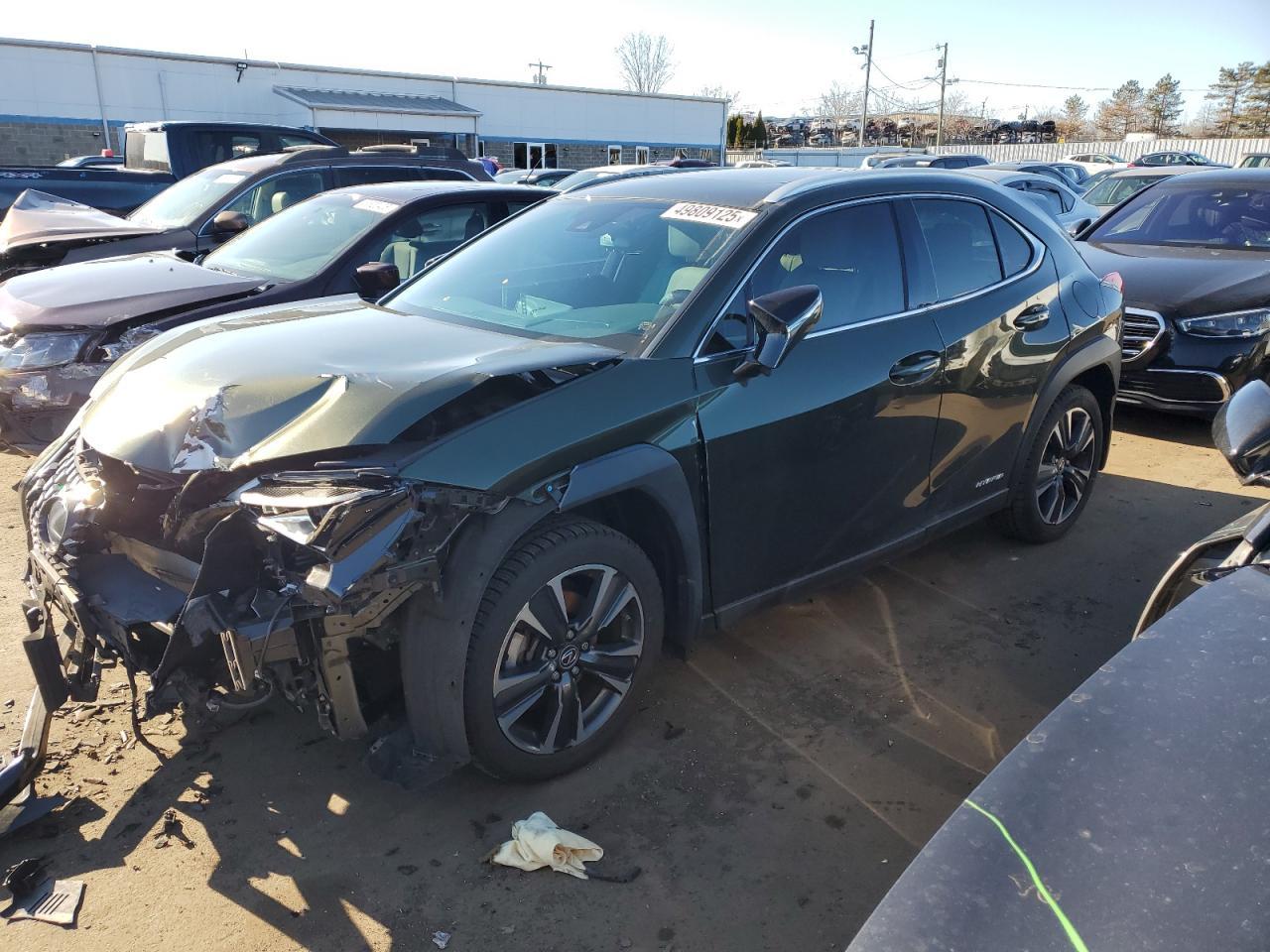 2019 LEXUS UX 250H