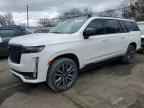 2023 CADILLAC ESCALADE