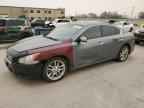 2010 NISSAN Maxima