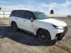 2024 LEXUS LX 600