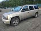 2006 CHEVROLET Trailblazer