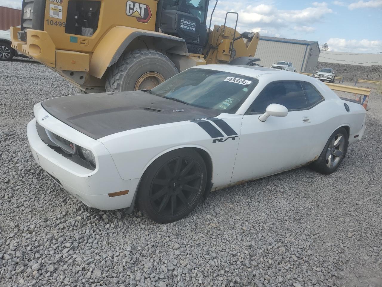 2010 DODGE Challenger