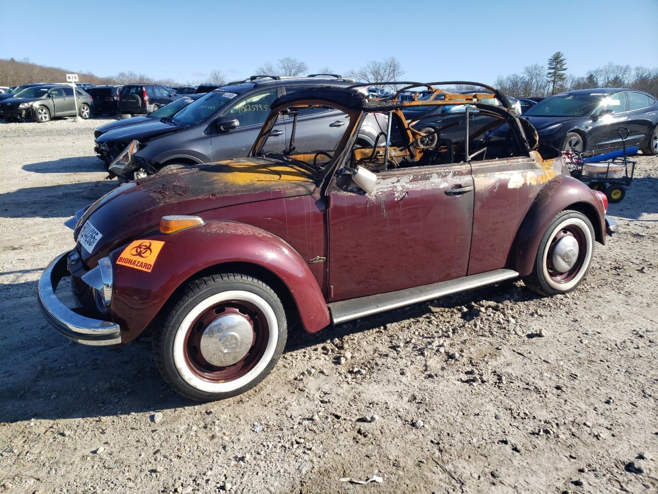 1971 VOLKSWAGEN Beetle