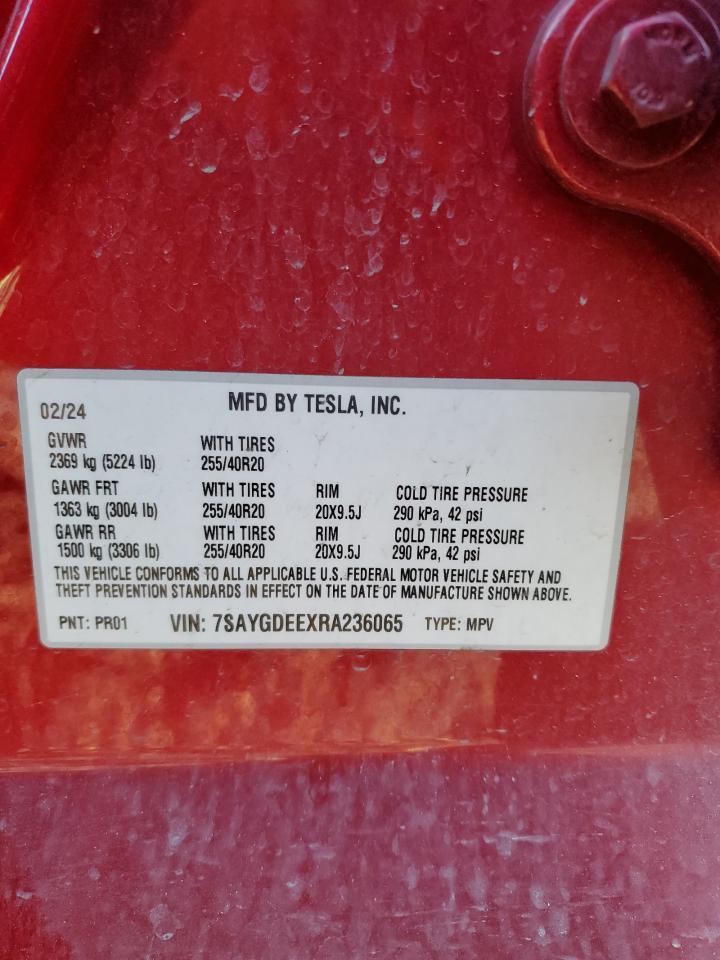 2024 TESLA MODEL Y