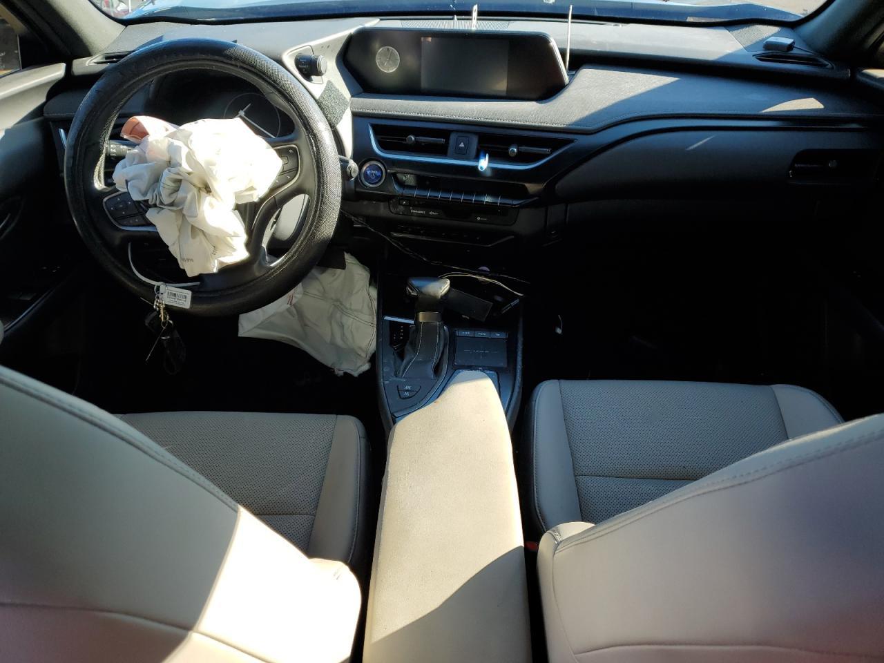 2019 LEXUS UX 250H