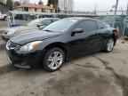 2010 NISSAN ALTIMA