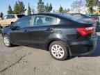2017 KIA RIO