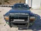 2000 DODGE Dakota