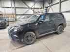 2023 LEXUS Gx