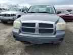 2007 DODGE Dakota