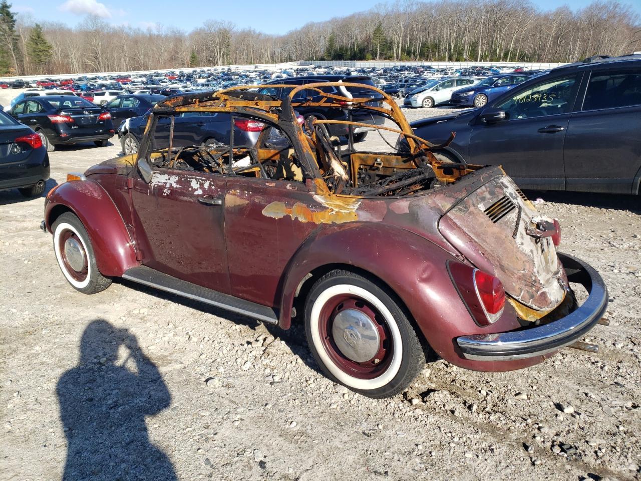1971 VOLKSWAGEN Beetle