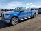 2009 FORD F-150