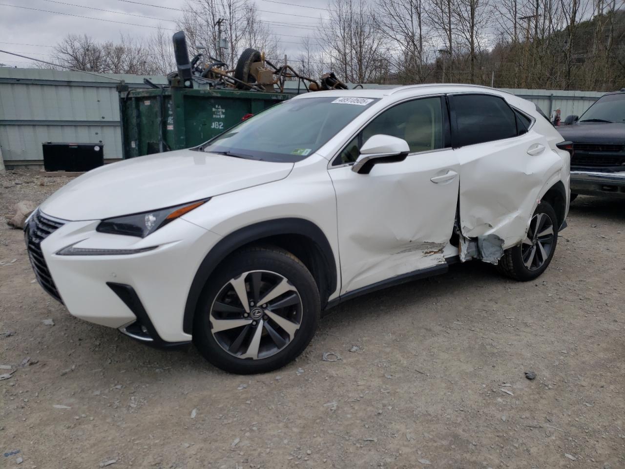 2019 LEXUS Nx