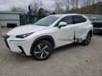 2019 LEXUS Nx