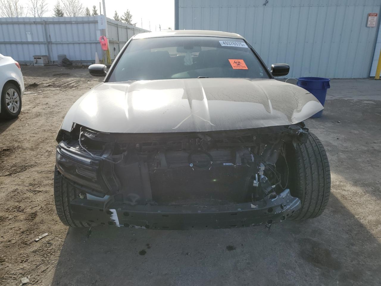 2019 DODGE CHARGER