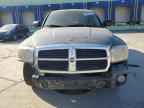 2007 DODGE Dakota