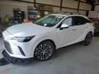 2024 LEXUS RX 350