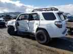 2023 TOYOTA 4Runner
