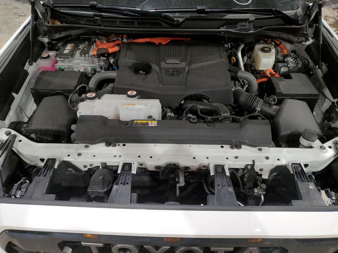 2024 TOYOTA Sequoia