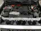 2024 TOYOTA Sequoia