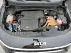 2024 KIA Niro