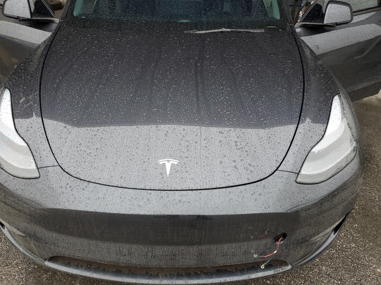 2025 TESLA MODEL Y