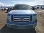 2009 FORD F-150