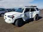 2023 TOYOTA 4Runner