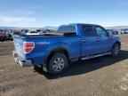 2009 FORD F-150