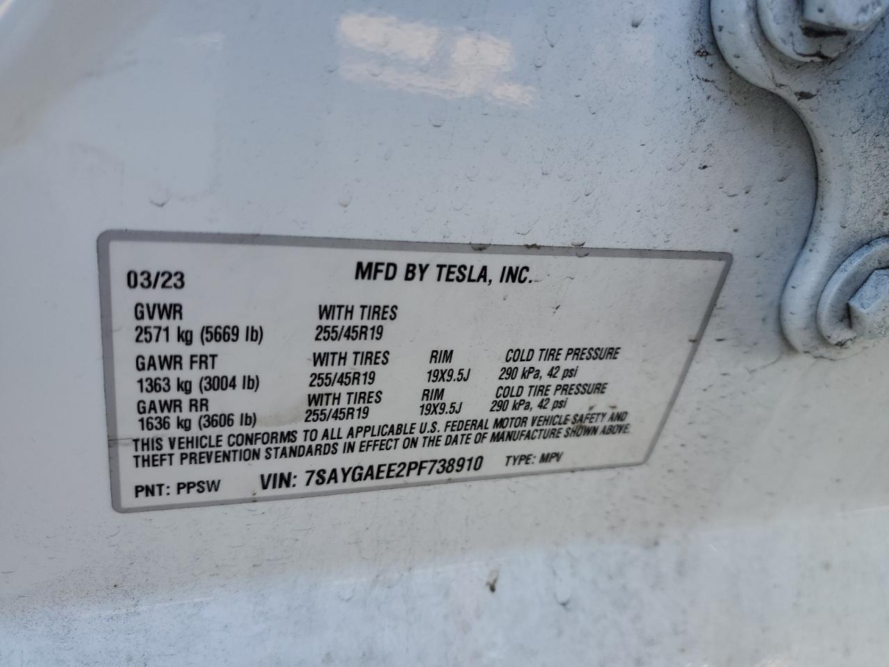 2023 TESLA MODEL Y